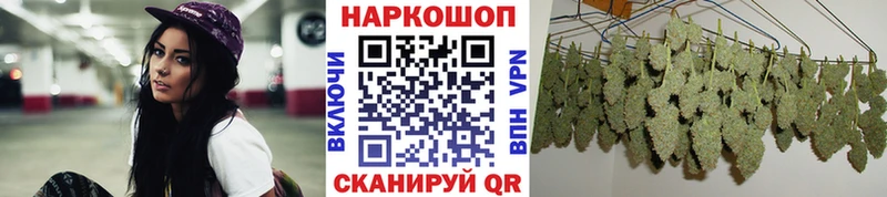 Магазин наркотиков Новошахтинск Бошки Шишки  Меф 