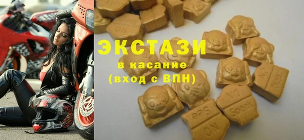 гидра Коряжма