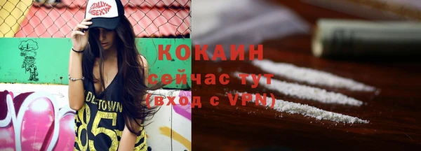 гидра Коряжма