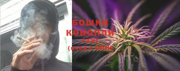 гидра Коряжма