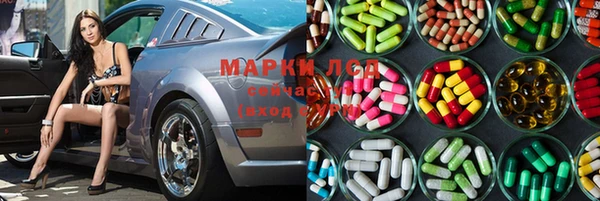 гидра Коряжма