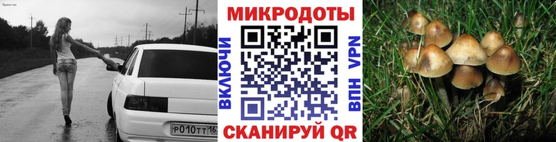 Галлюциногенные грибы Psilocybine cubensis  Новошахтинск 
