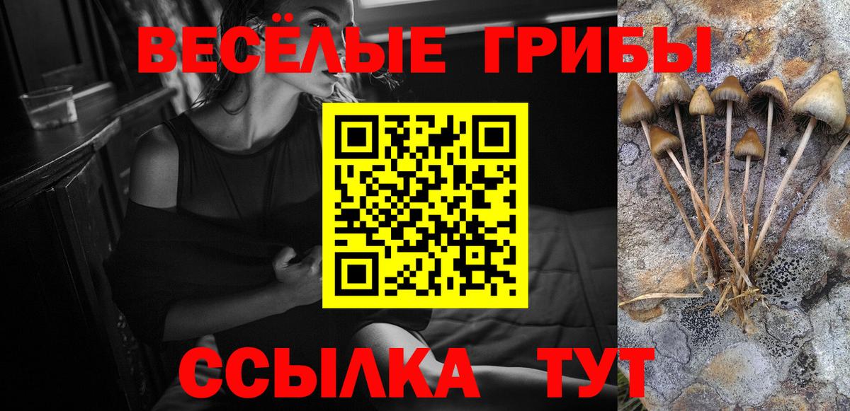Псилоцибиновые грибы мицелий Новошахтинск