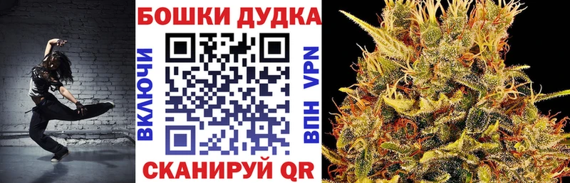 Конопля гибрид Новошахтинск